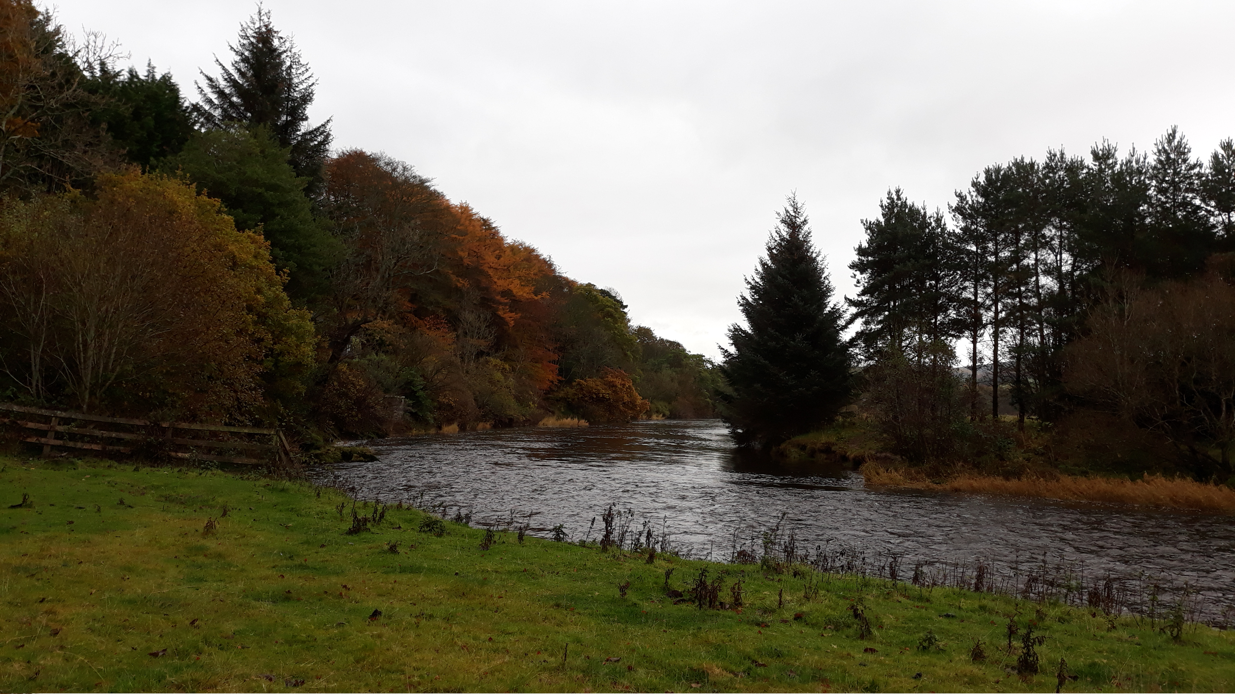 Peebles Strollers